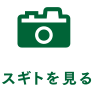 スギトを見る