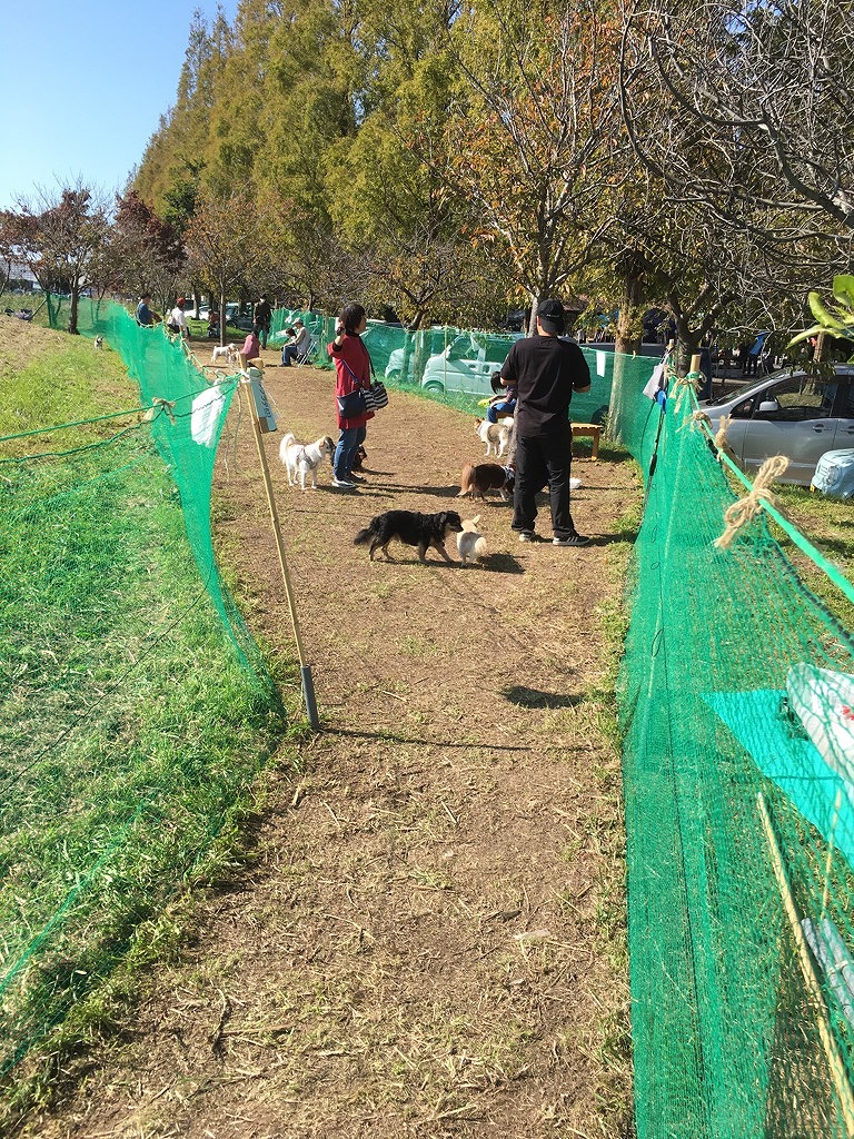 愛犬と自由に遊びまわり楽しい一日の画像１