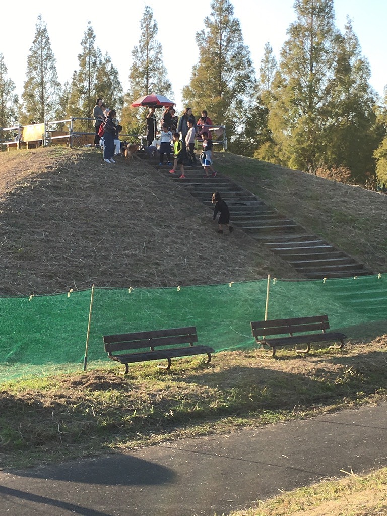 愛犬と自由に遊びまわり楽しい一日の画像２