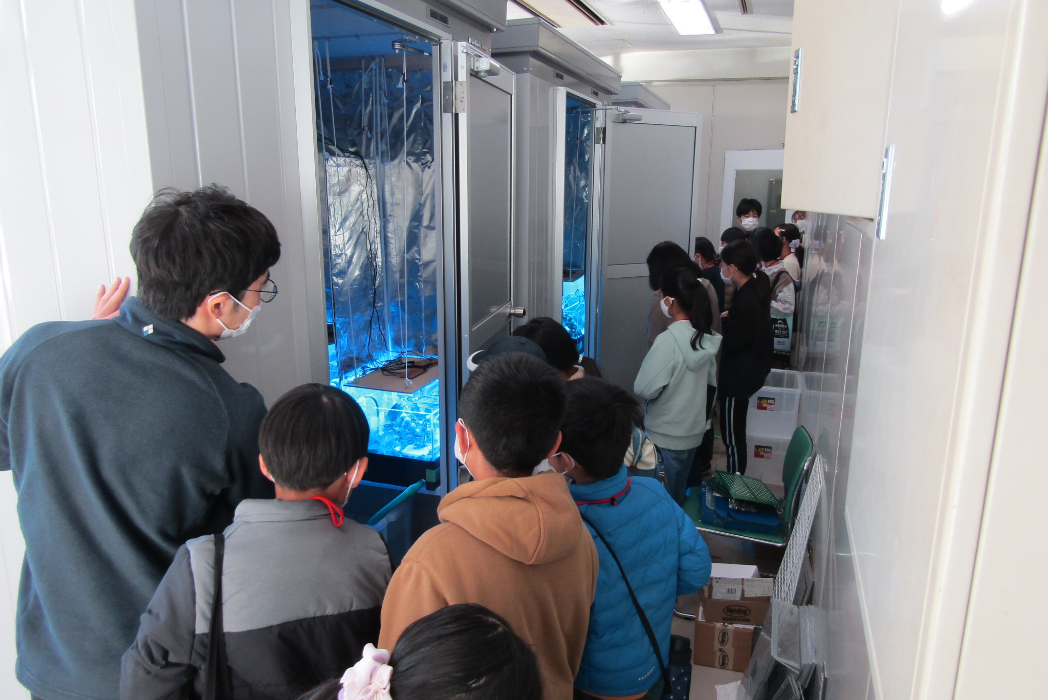第3回『ウイルス感染の仕組みを使った通信を学ぼう！』 （日本工業大学にて）の画像3