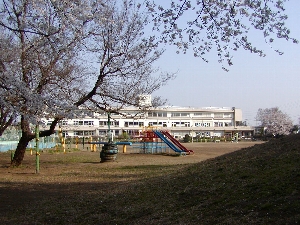 桜と校庭の遊具