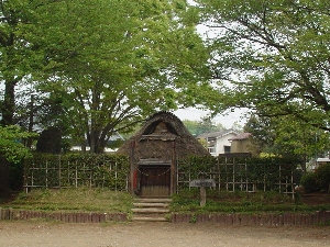 夏の古代住居