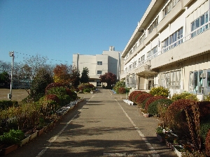 秋の泉小校舎前通路