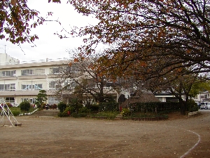 秋の校庭と校舎