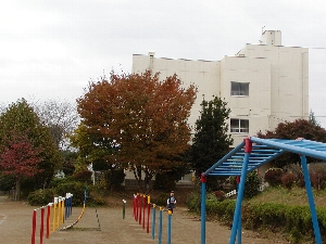 秋の校舎と遊具
