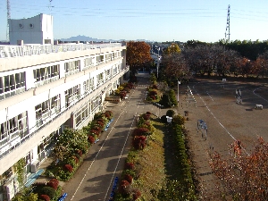 屋上からの風景