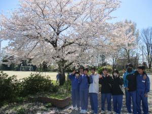桜の前で記念写真