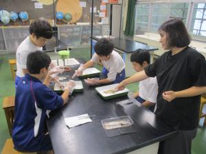 解剖の様子①