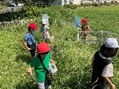 虫取り1