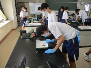 解剖実験の様子