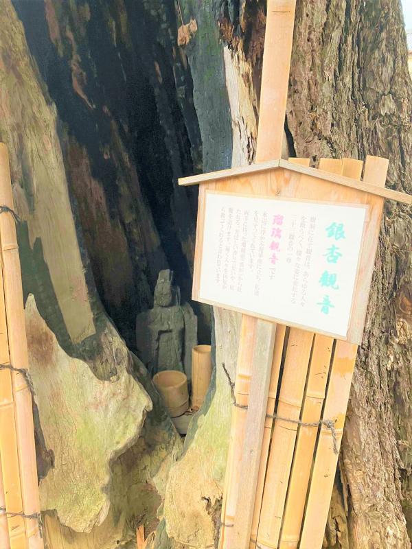 いちょう観音
