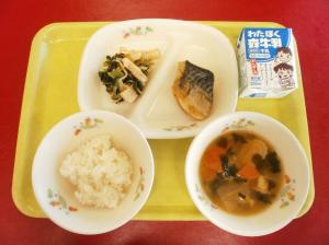 11月8日小