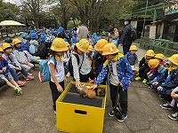 こども動物自然公園1