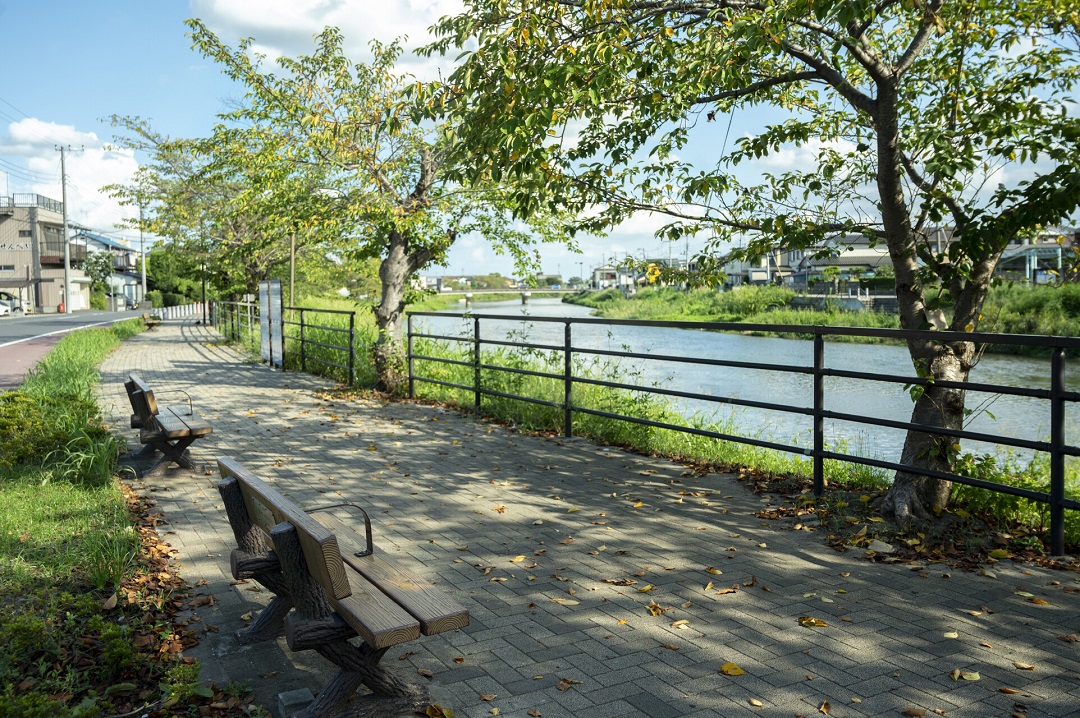 大歳古利根川