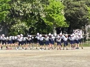 すこやか