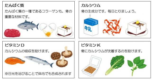 たんぱく質、カルシウム、ビタミンD、ビタミンKを含む食材のイラスト