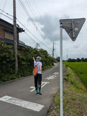 こちらの道を伸び伸びとぉ