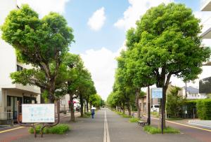 「駅前の並木道」