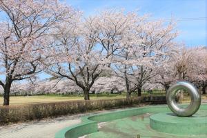 倉松公園の桜