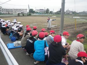 田植え1