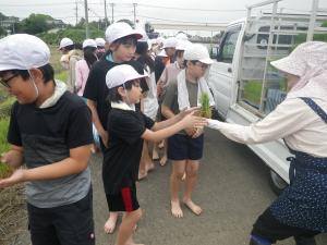 田植え2