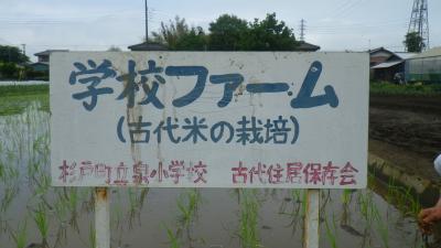 看板