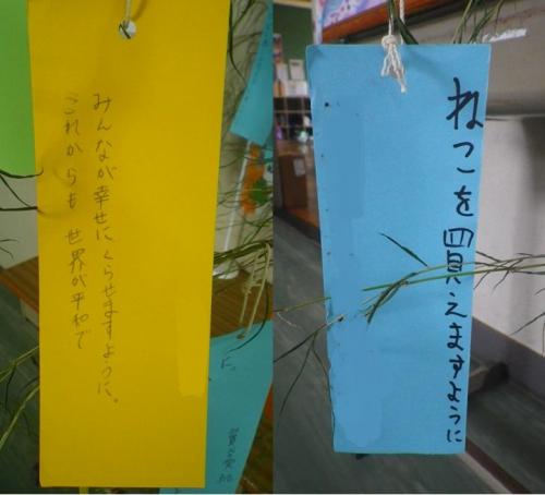 中学年