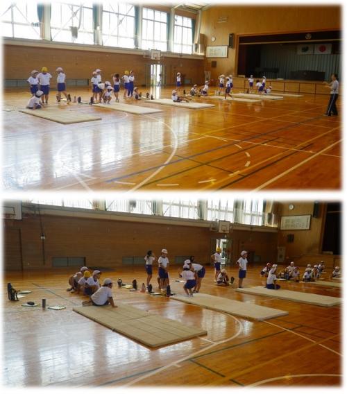 慣れの運動