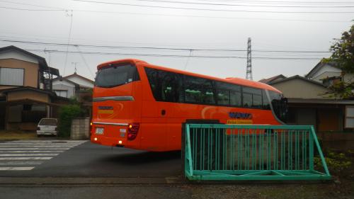 バス