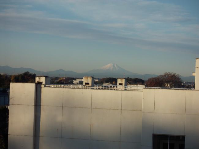 富士山