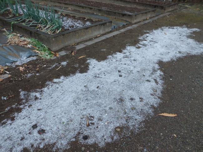 雪