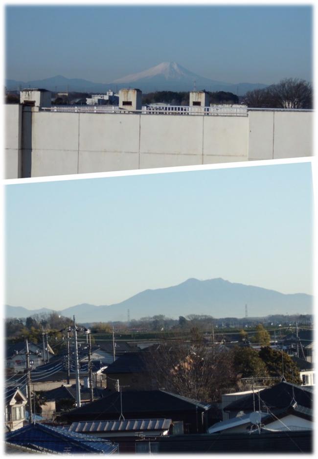 山