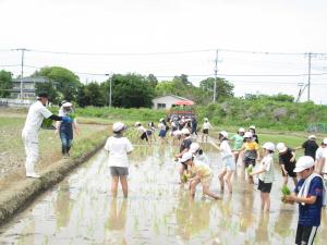 田植え1