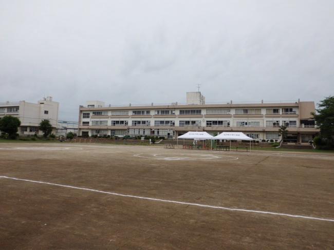 朝