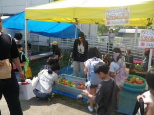 うすフェス2