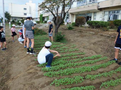 除草2