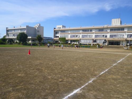 縦割り4