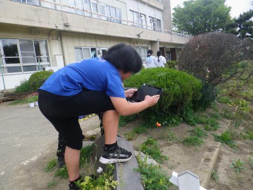 外活動2