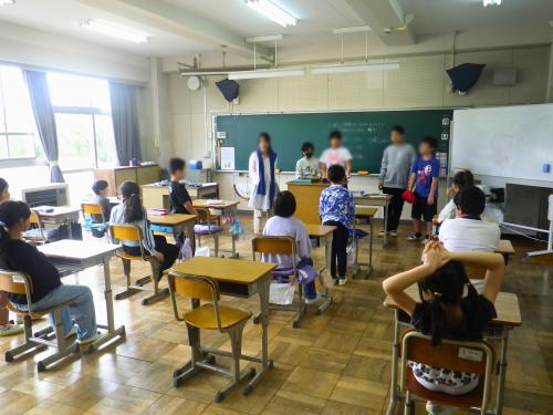 縦割り3