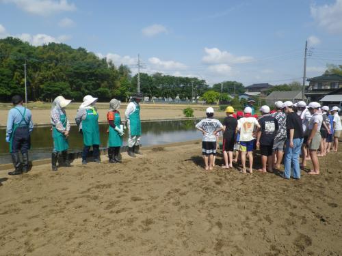 田植え1