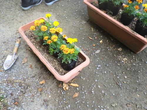 花植え2