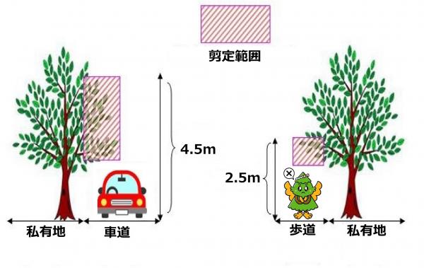 杉戸町自転車の放置防止に関する条例